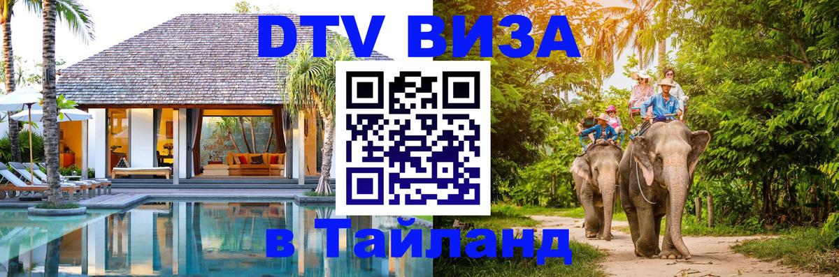 Сколько стоит DTV виза — актуальные цены, оформление даже без документов - 19.11.2025 